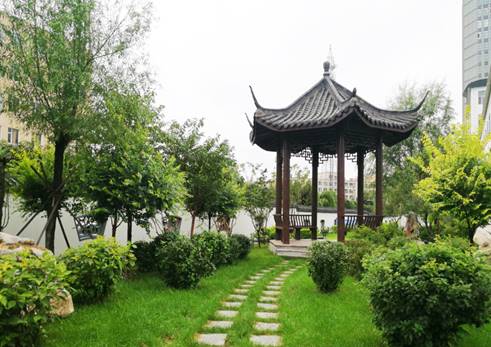 說明: 杏盛一角